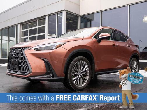 2025 Lexus NX 350h Premium