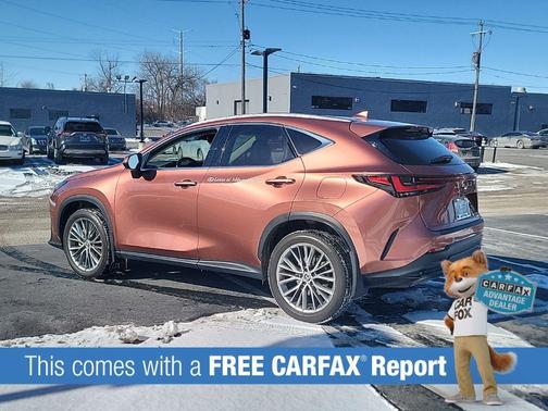 2025 Lexus NX 350h Premium