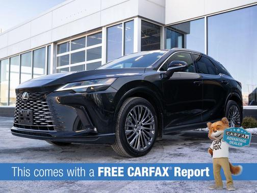 2024 Lexus RX 350 Luxury