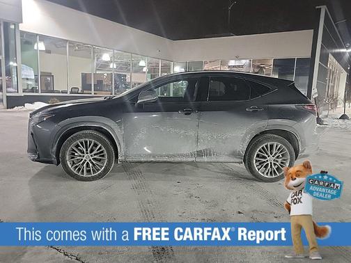 2025 Lexus NX 350h Premium
