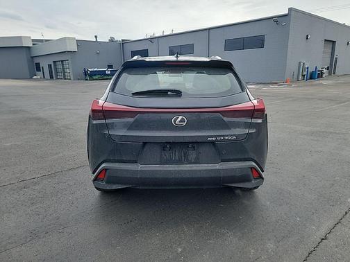 2025 Lexus UX 300h Premium