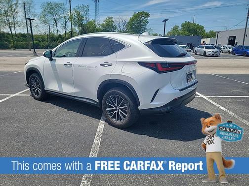 Pear 2025 Lexus NX 350 350 Base