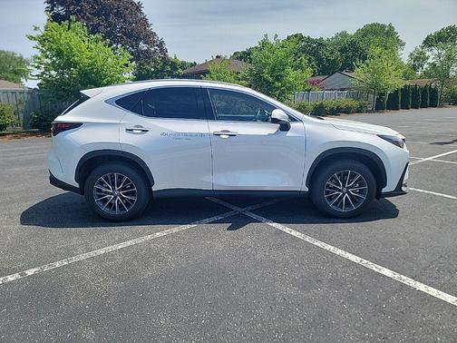 Pear 2025 Lexus NX 350 350 Base