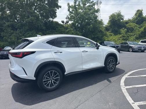 2024 Lexus NX 350h Premium