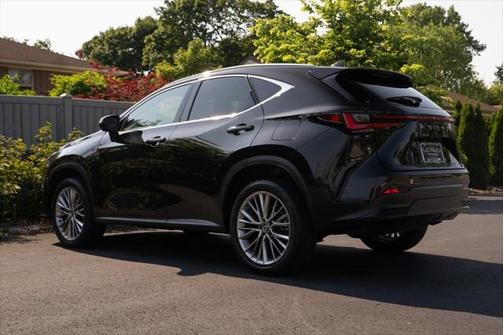 2024 Lexus NX 350 Luxury