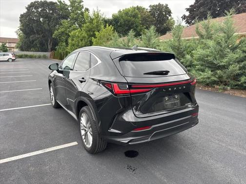 2024 Lexus NX 350 Luxury