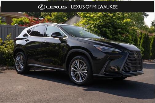 2024 Lexus NX 350 Luxury