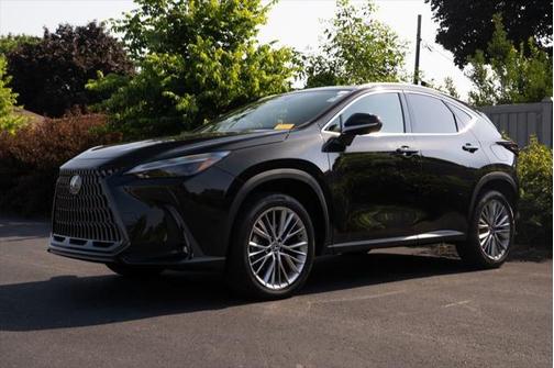 2024 Lexus NX 350 Luxury
