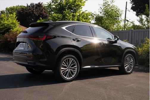 2024 Lexus NX 350 Luxury