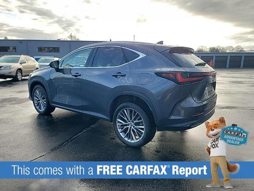 2023 Lexus NX 350h Premium