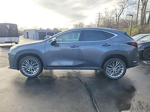 2023 Lexus NX 350h Premium