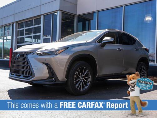 Atomic Silver 2024 Lexus NX 350 Premium