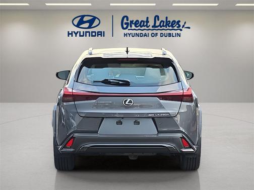2023 Lexus UX 250h F Sport