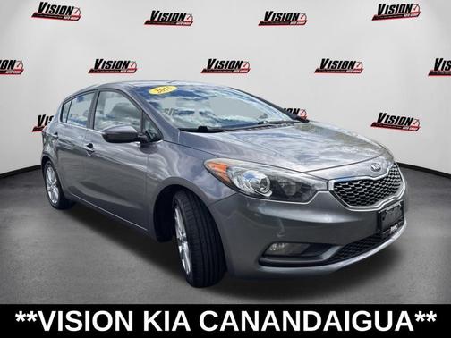 Graphite Steel 2015 Kia Forte EX