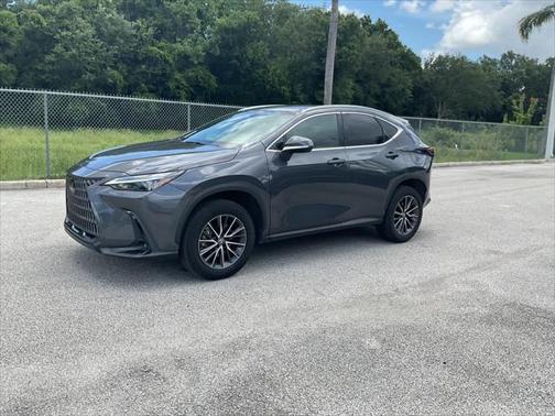 2024 Lexus NX 250 Base