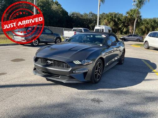 2019 Ford Mustang EcoBoost