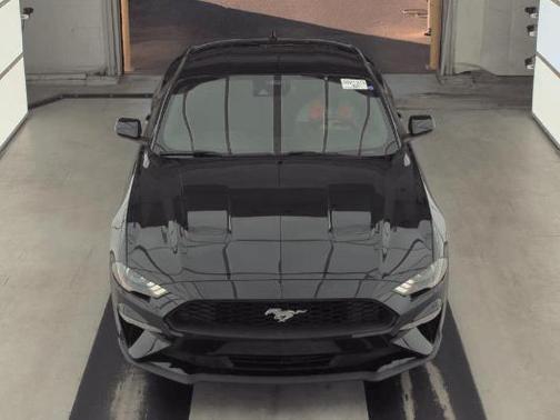 2021 Ford Mustang EcoBoost