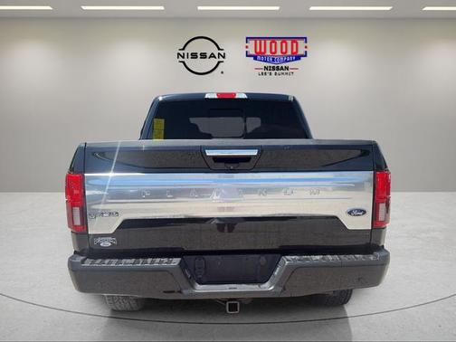 Black Metallic 2019 Ford F-150 Platinum