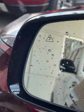 2022 Kia Carnival SX