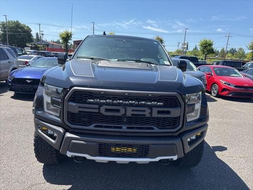 2019 Ford F-150 Raptor