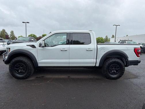 AVALANCHE 2023 Ford F-150 Raptor