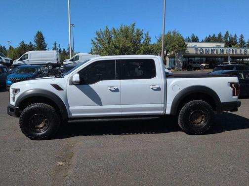 OXFORD WHITE 2019 Ford F-150 Raptor