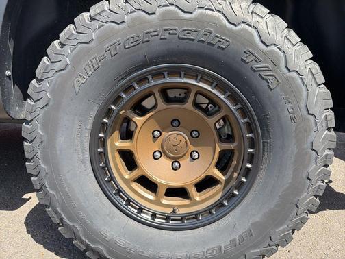 OXFORD WHITE 2019 Ford F-150 Raptor