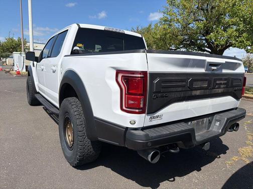 OXFORD WHITE 2019 Ford F-150 Raptor