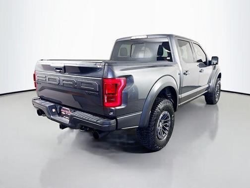 Magnetic Metallic 2019 Ford F-150 Raptor