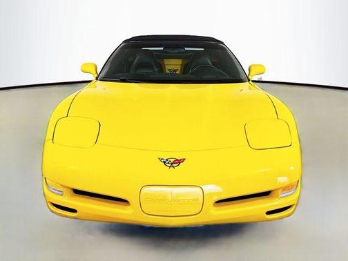 Millennium Yellow 2004 Chevrolet Corvette Base