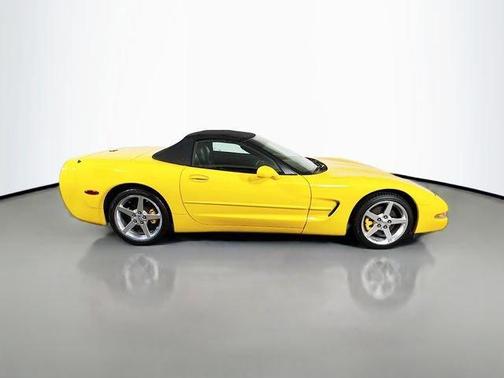 Millennium Yellow 2004 Chevrolet Corvette Base