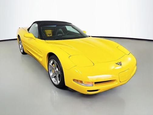 Millennium Yellow 2004 Chevrolet Corvette Base