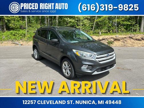 Magnetic 2019 Ford Escape SEL