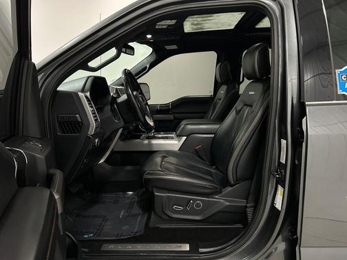 Magnetic Metallic 2020 Ford F-150 Platinum