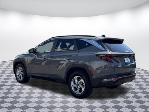 Jungle Green 2024 Kia Sportage X-Line