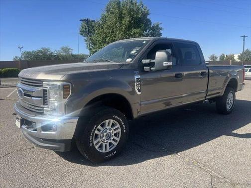 Stone Gray 2019 Ford F-250 XLT