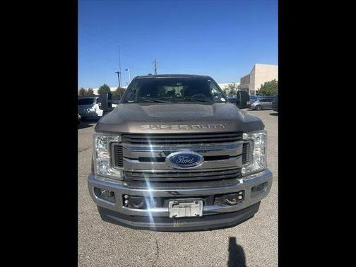 Stone Gray 2019 Ford F-250 XLT