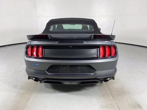 Magnetic 2019 Ford Mustang EcoBoost Premium