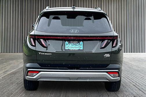 Green 2025 Hyundai TUCSON Limited
