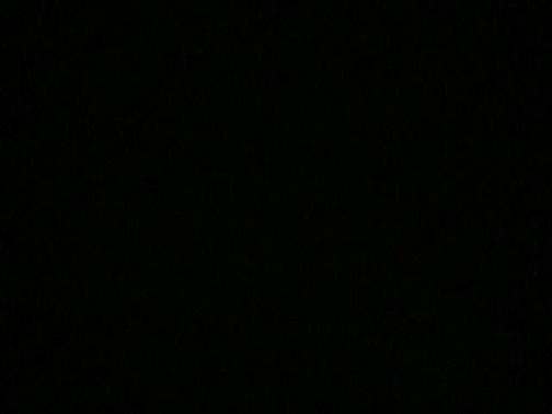 Black 2020 Honda Odyssey EX-L