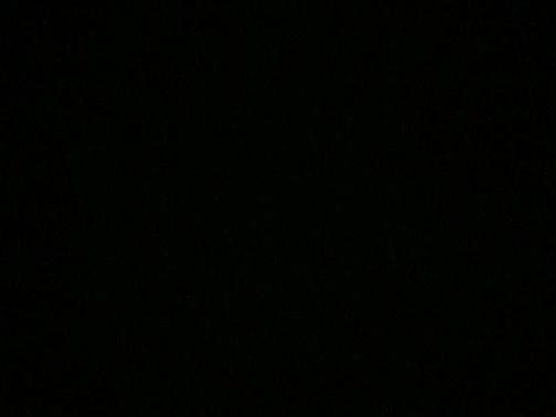 2023 Honda Pilot EX-L 8-Passenger