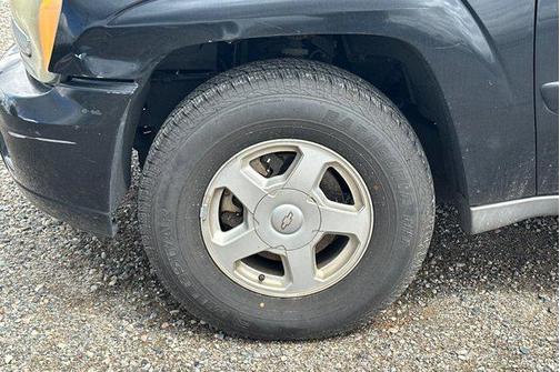 Onyx Black 2002 Chevrolet Trailblazer LS