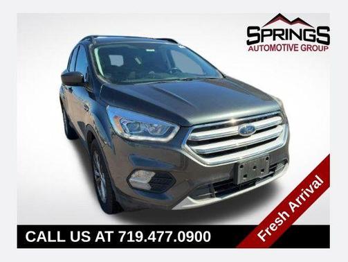 Magnetic 2019 Ford Escape SEL