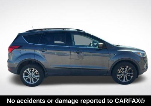 Magnetic 2019 Ford Escape SEL