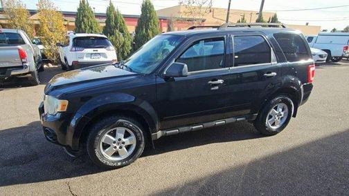 2010 Ford Escape XLT