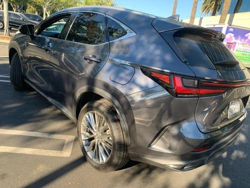 2022 Lexus NX 350h Luxury
