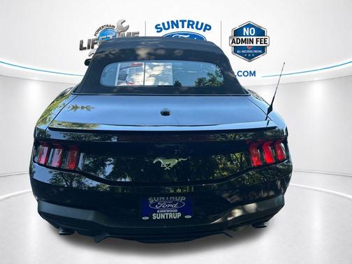 Shadow Black 2025 Ford Mustang EcoBoost Premium
