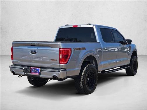 Iconic Silver Metallic 2023 Ford F-150 Tremor