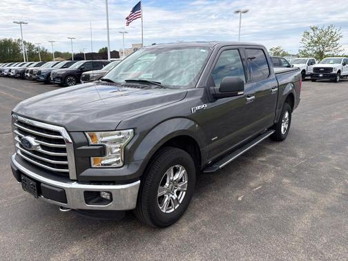 Magnetic 2016 Ford F-150 XLT