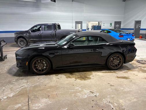 Shadow Black 2026 Ford Mustang GT Premium